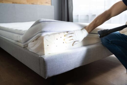 Punaises&#x20;de&#x20;lit&#x20;au&#x20;retour&#x20;de&#x20;vacances&#x00A0;&#x3A;&#x20;les&#x20;5&#x20;r&#x00E9;flexes
