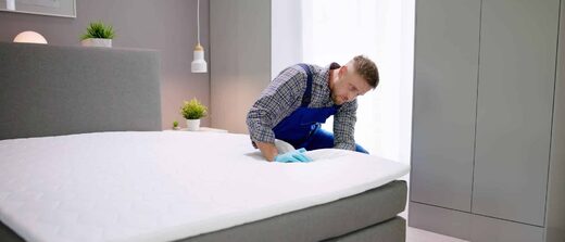 Punaises de lit en hôtel à Nice : traiter sans fermer