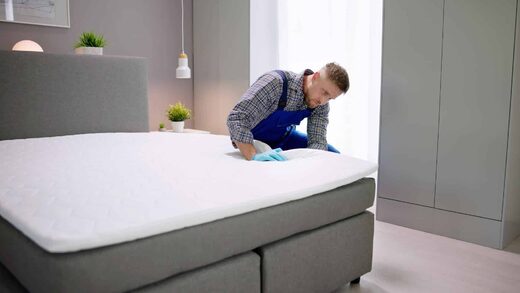 Punaises&#x20;de&#x20;lit&#x20;en&#x20;h&#x00F4;tel&#x20;&#x00E0;&#x20;Nice&#x00A0;&#x3A;&#x20;traiter&#x20;sans&#x20;fermer