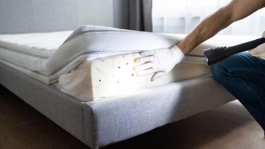 Alerte&#x20;aux&#x20;punaises&#x20;de&#x20;lit&#x20;&#x00E0;&#x20;Aix-en-Provence&#x20;&#x3A;&#x20;comment&#x20;prot&#x00E9;ger&#x20;son&#x20;logement&#x20;&#x3F;